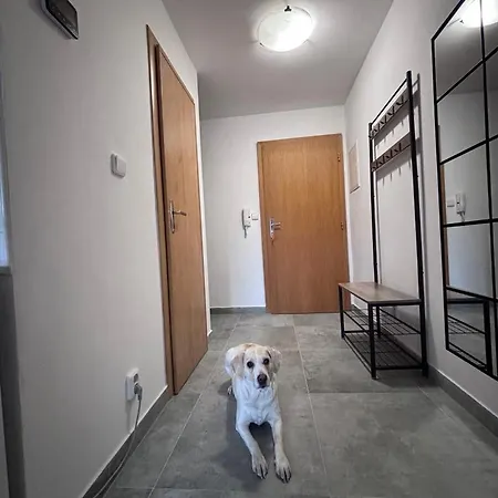 Vyhlad !-apartman 11 Apartmán *